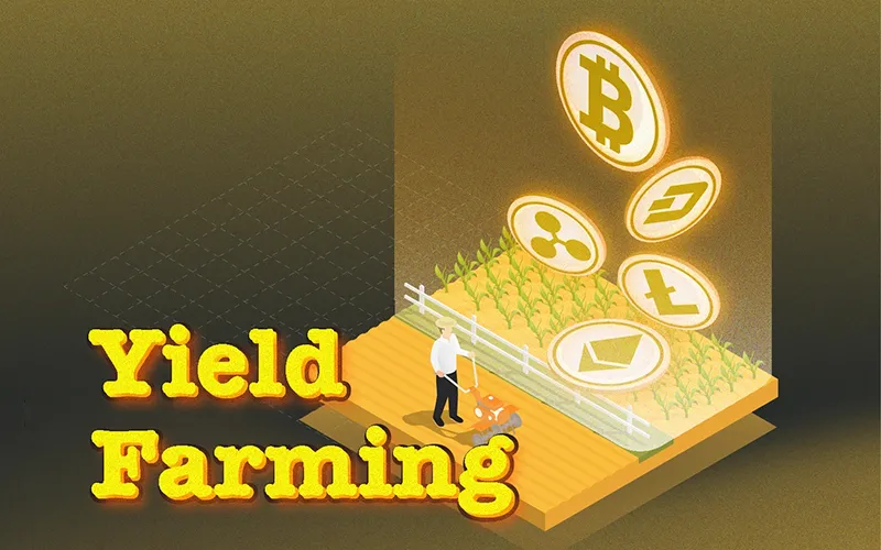 Yield Farming – Tận dụng tài sản để “canh tác lợi nhuận”